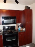 Roscoe on kitchen cabinet.JPG
