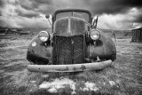 DSC_0474_bw.jpg