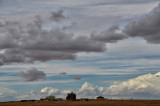 DSC_5196.jpg