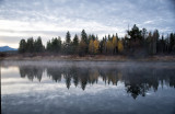 DSC_0906.jpg