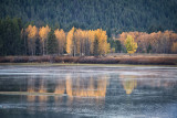 DSC_0945.jpg