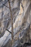 DSC_1953.jpg