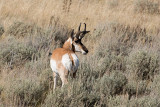 DSC_2280.jpg