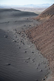 DSC_9569.jpg