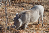 DSC_4049.jpg