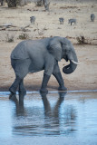 Hwange National Park