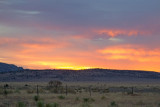 Prairie-Dawn9305.jpg