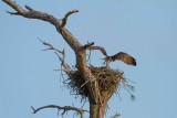 IMG_4757.jpg