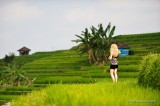 Jatiluwih Rice Terraces D700_21018 copy.jpg