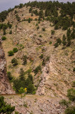 Boulder Creek Canyon