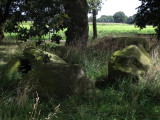 Megalithic tombe, Dolmen Hunebed D36 Valthe Oost, Drenthe Netherlands