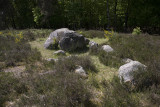 Megalithic tombe, Dolmen Hunebed D38 Emmerveld noord #2, Drenthe Netherlands