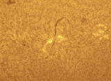 Big_filament1_2013-12-22.jpg