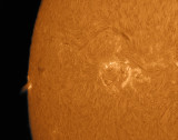 side-burst1_2013-12-22.jpg