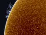 Sun Feb 1, 2014