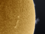 Prominence February 3, 2014