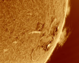 AR2080-85-095132_color-800x642.jpg