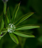 DSC_5140a.jpg
