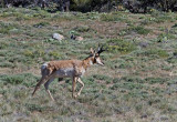 DSC_5249a.jpg