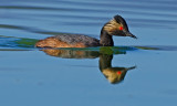 DSC_5837a.jpg
