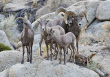 DSC_4564a.jpg