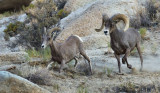 DSC_5029a.jpg