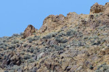 DSC_6473a.jpg
