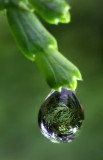 DSC_7817a.jpg