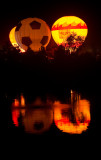 DSC_8495a.jpg
