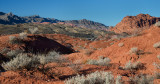 DSC_6617a.jpg