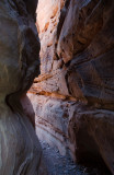 DSC_6673a.jpg