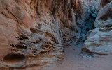 DSC_6961a.jpg