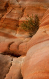 DSC_7078a.jpg