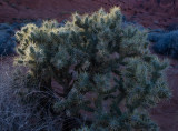 DSC_7094a.jpg