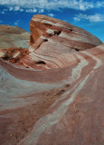 DSC_7437a.jpg