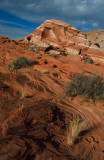 DSC_7484b.jpg