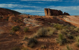 DSC_7518a.jpg