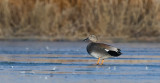 DSC_9614a.jpg