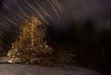 DSC_1474b.jpg