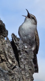 DSC_1823a.jpg