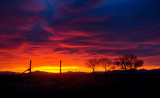 DSC_2092a.jpg