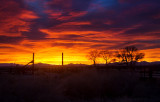 DSC_2111a.jpg