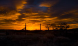 DSC_2135a.jpg