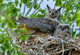 DSC_6990a.jpg