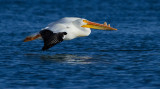DSC_8974a.jpg