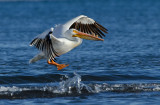 DSC_8983a.jpg