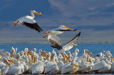 DSC_9025a.jpg