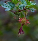 DSC_0847a.jpg