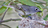 DSC_3544a.jpg