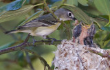DSC_4599a.jpg